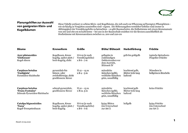 Vorschau Tabelle Kugelbaeume