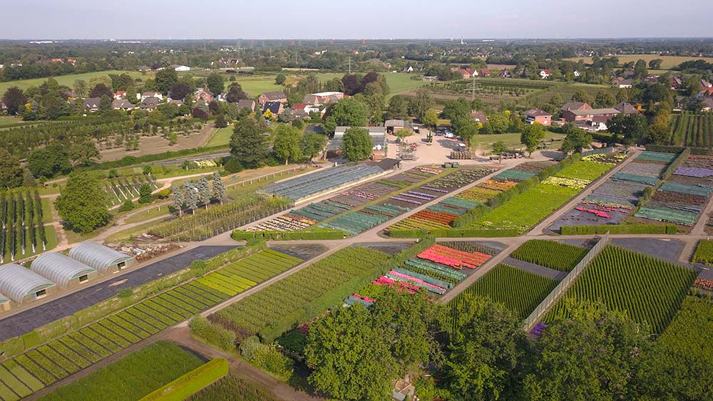 Bild-Bradfisch-Drone-DJI_0102-8-2019 Fotograf: Hans-Joachim Kölln