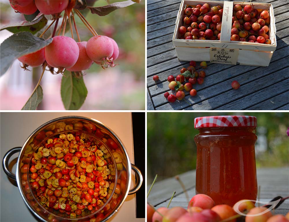 Malus Zier-Apfel Fruchtverwendung