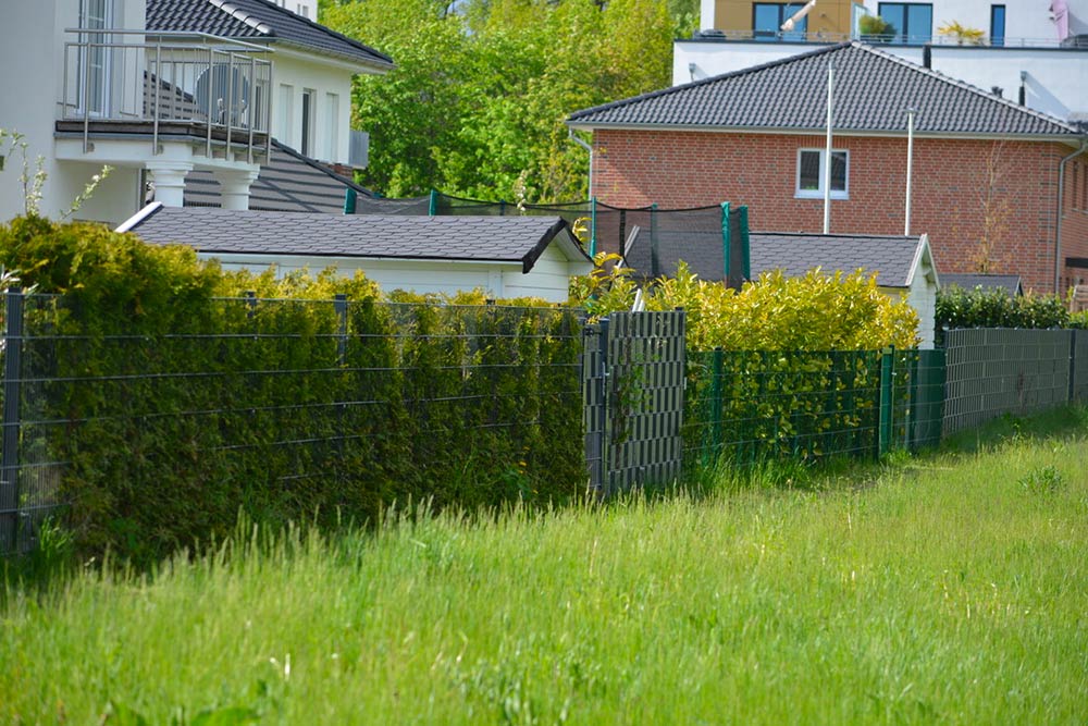 Hecken im Neubaugebiet