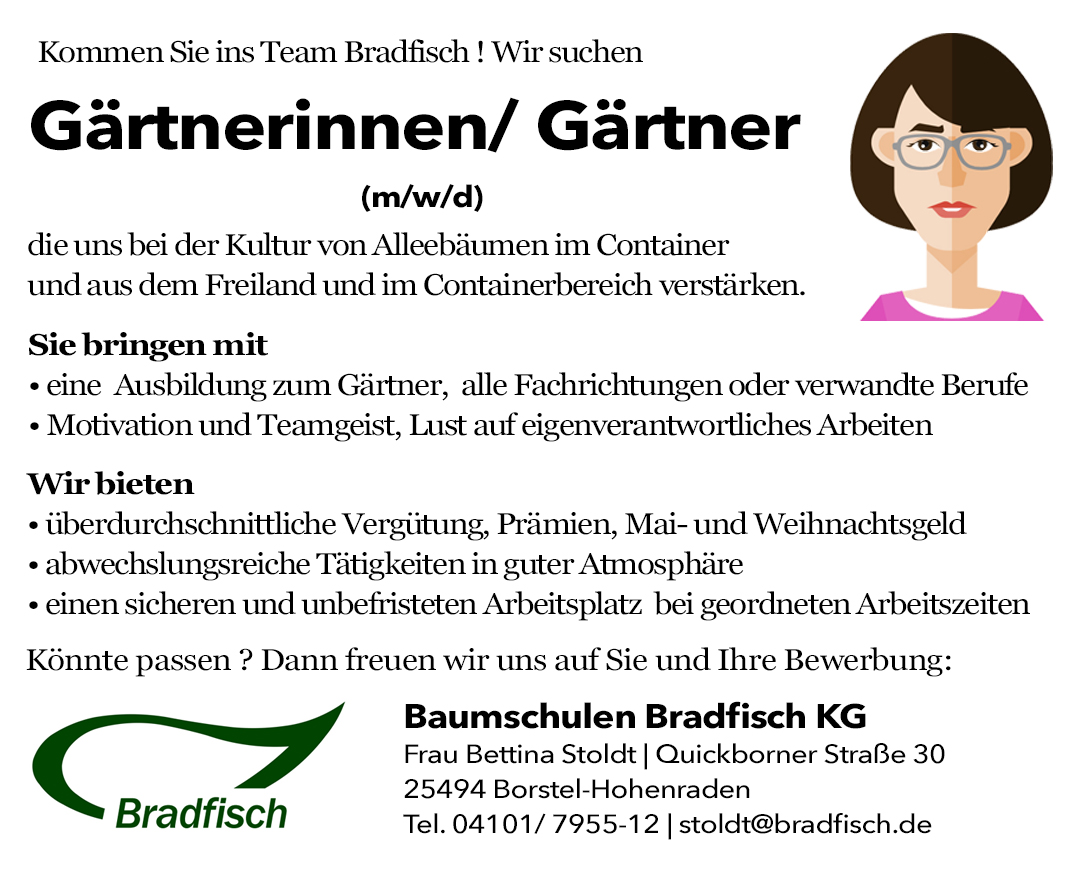 Stellenangebote Kommen Sie ins Team Bradfisch